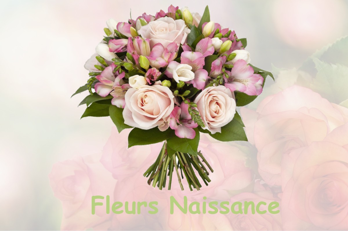 fleurs naissance RAISSAC-SUR-LAMPY