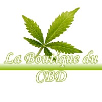 LA BOUTIQUE DU CBD RAISSAC-SUR-LAMPY 